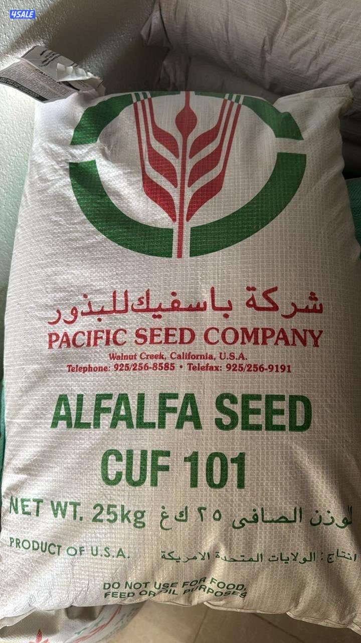 بذور برسيم باسفيك كاف 1010