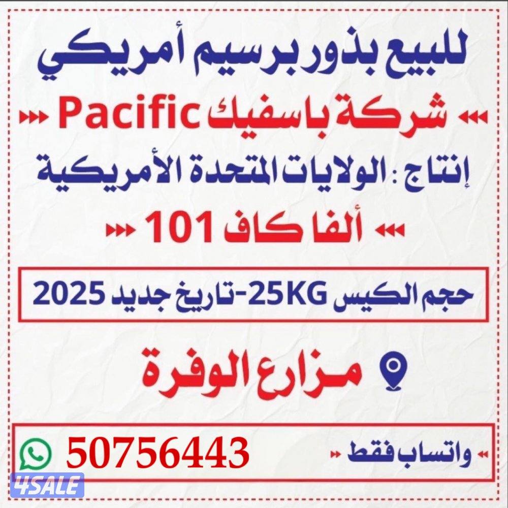 بذور برسيم باسفيك كاف 1011