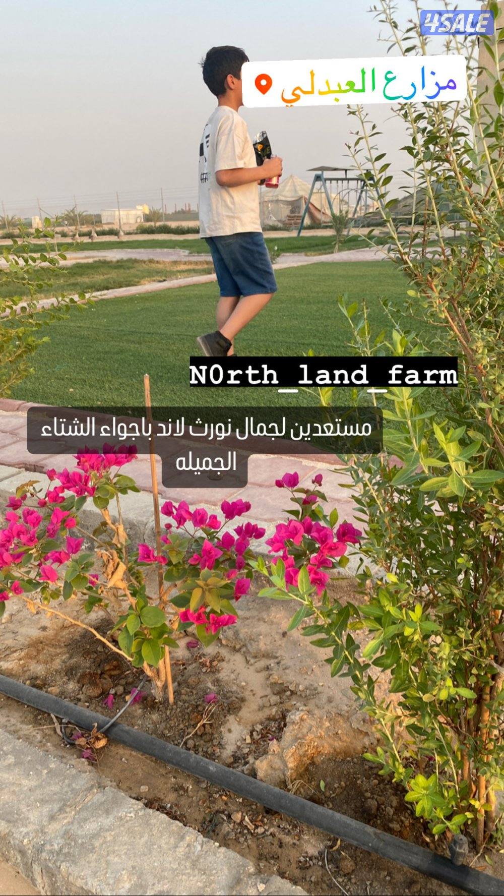 للايجار مزرعه ديلوكس جديده ونظيفه5