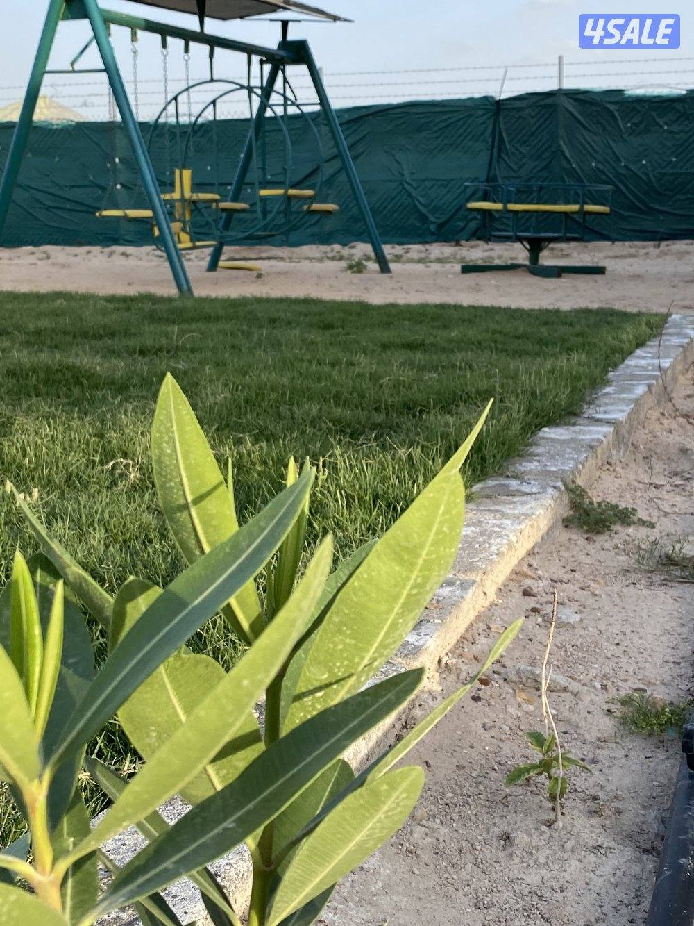 للايجار مزرعه ديلوكس جديده ونظيفه8