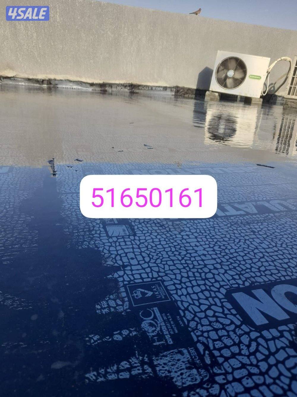 عاذل أسطح جتاروف8