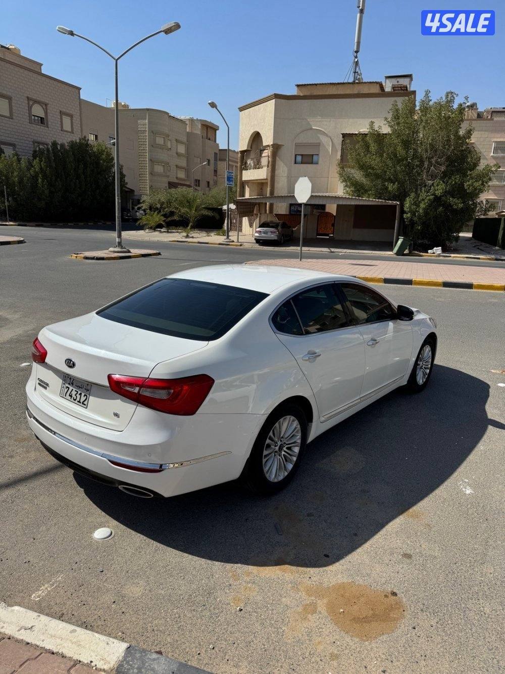 كادينزا 20162