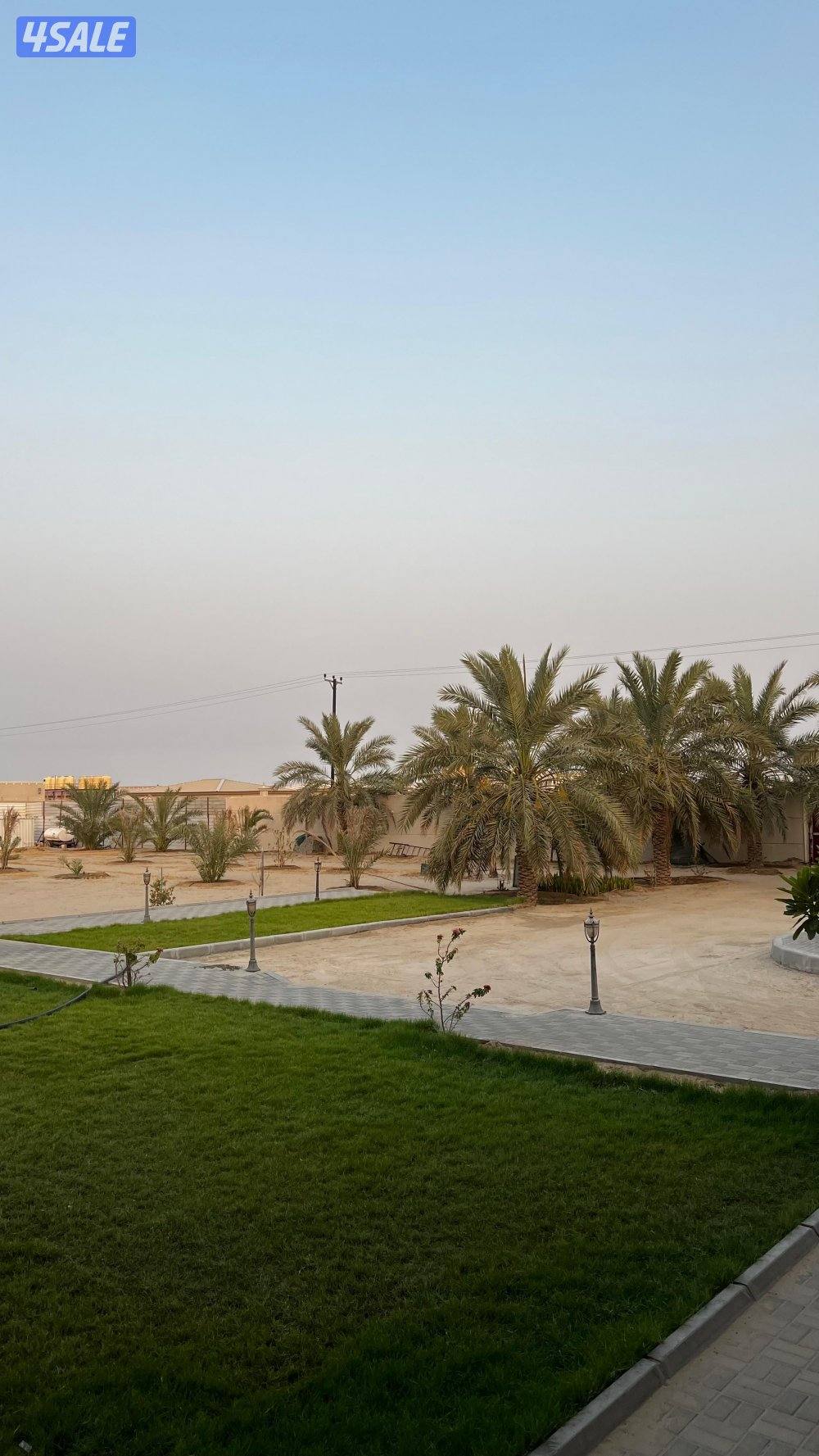 للايجار مزرعة الوفرة4