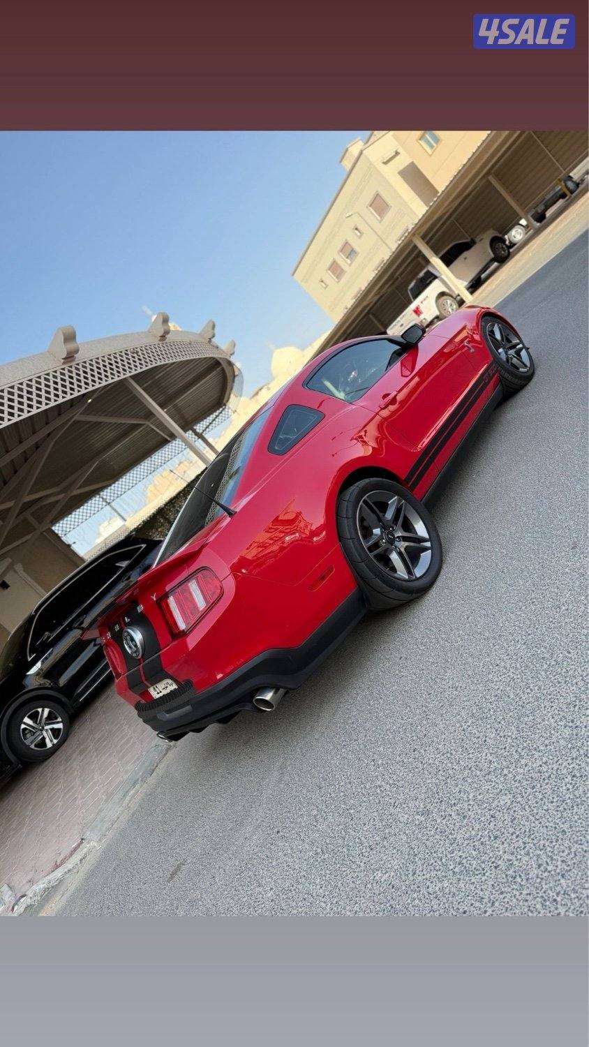 gt500 شلبي شرط الفحص 20101