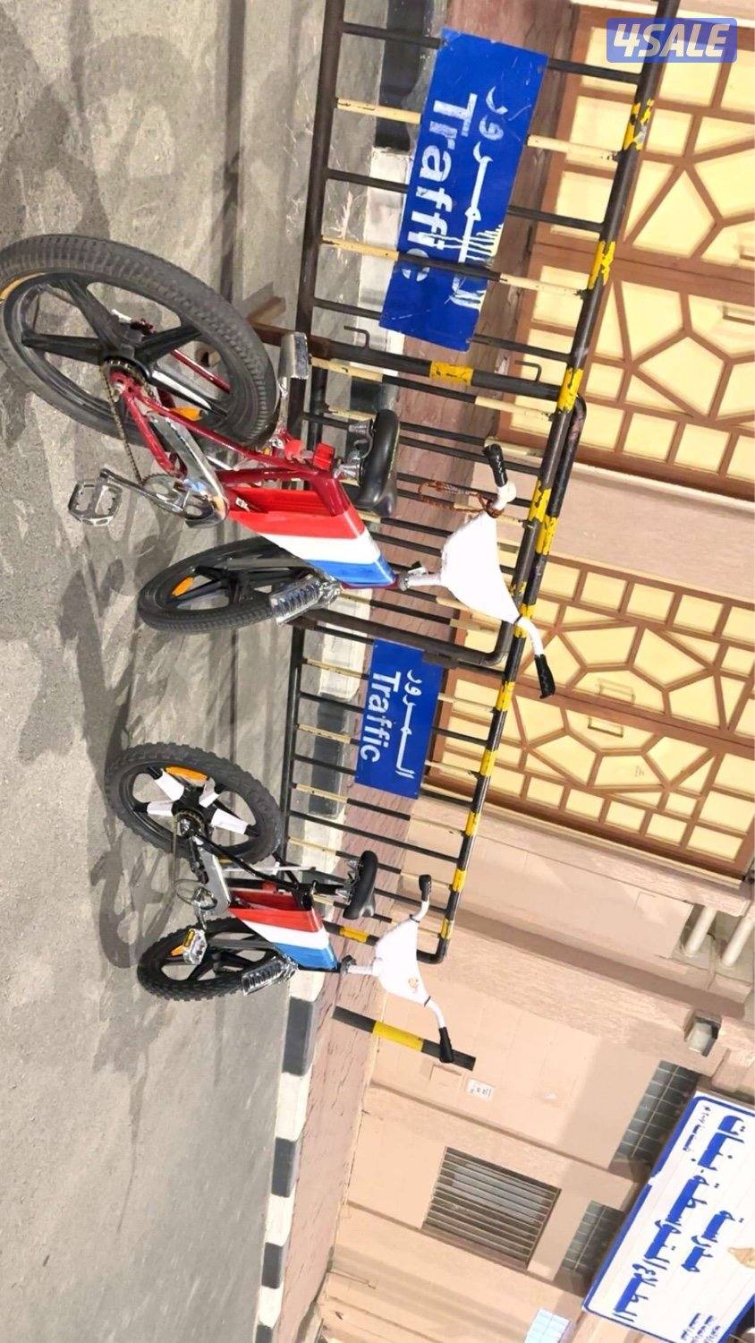 قاري ابو نجمه0