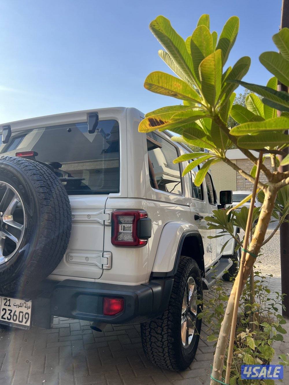 للبيع رانجلر صحارى 20211