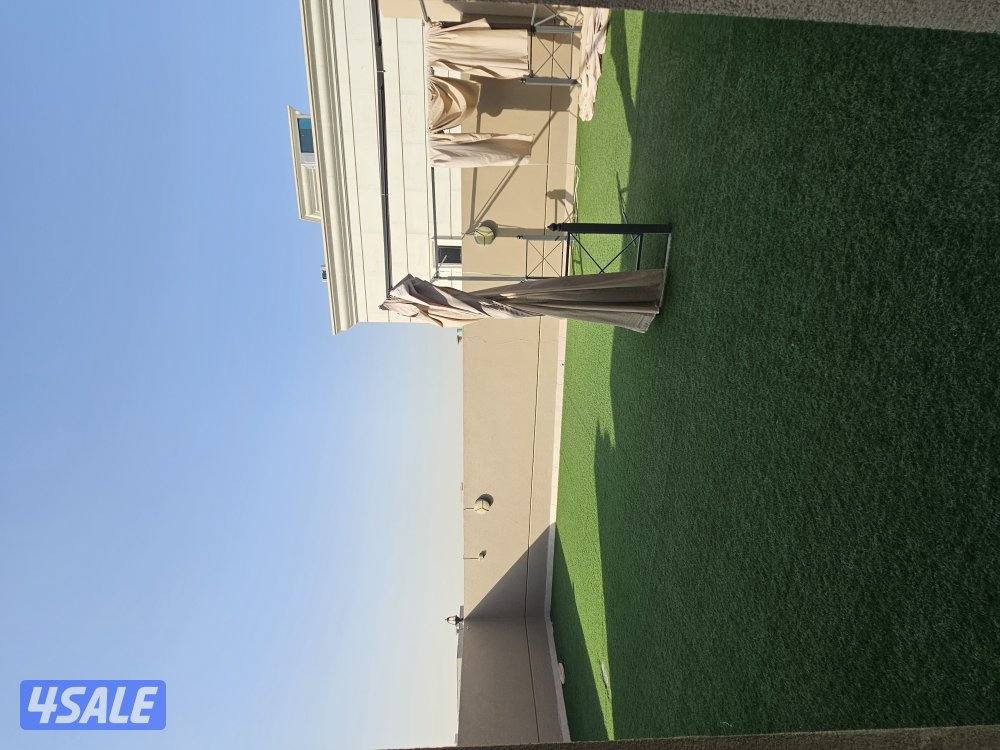 للايجار شقه دوبلكس مع رووف0