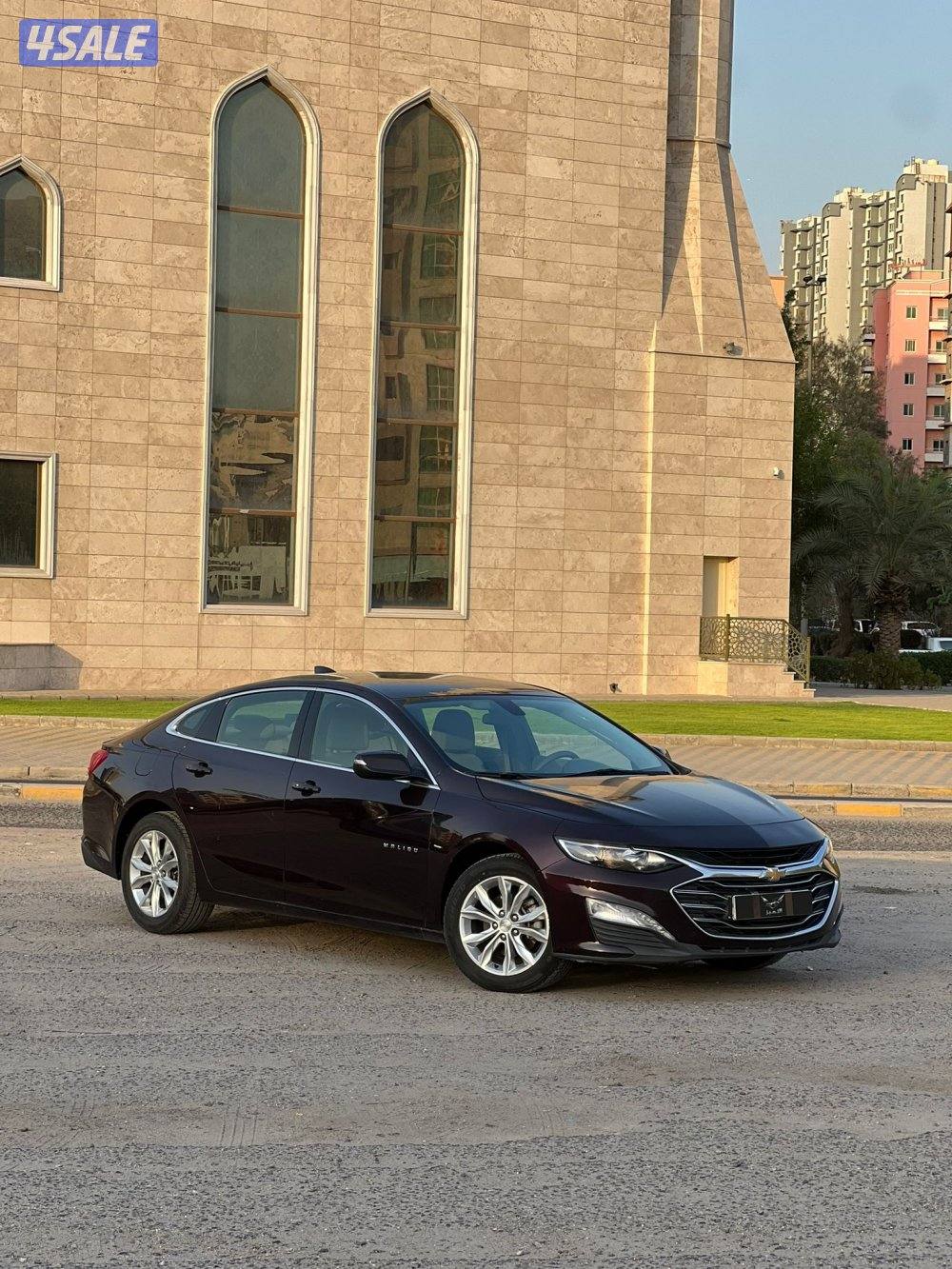 مليبو 2021 شرط لفحص ماشي ١٠٥1