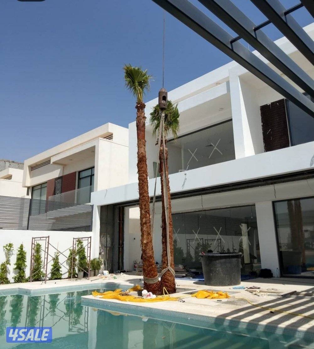 تنسيق وتنفيذ الحدائق الداخلية والخارجية مهندس زراعي12