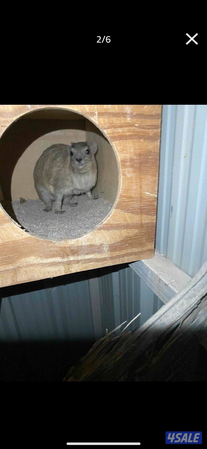 وبر بري للمحميات0