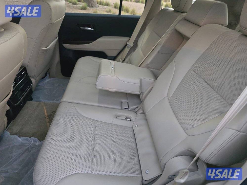 صبغ الوكالة GXR 20224