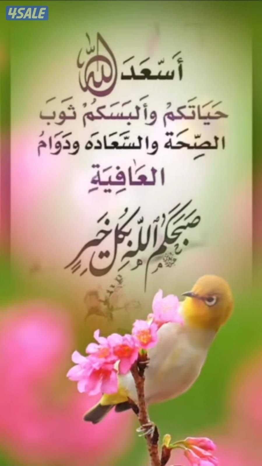 للايجار بيت حكومى ٣طوابق بالقصور0
