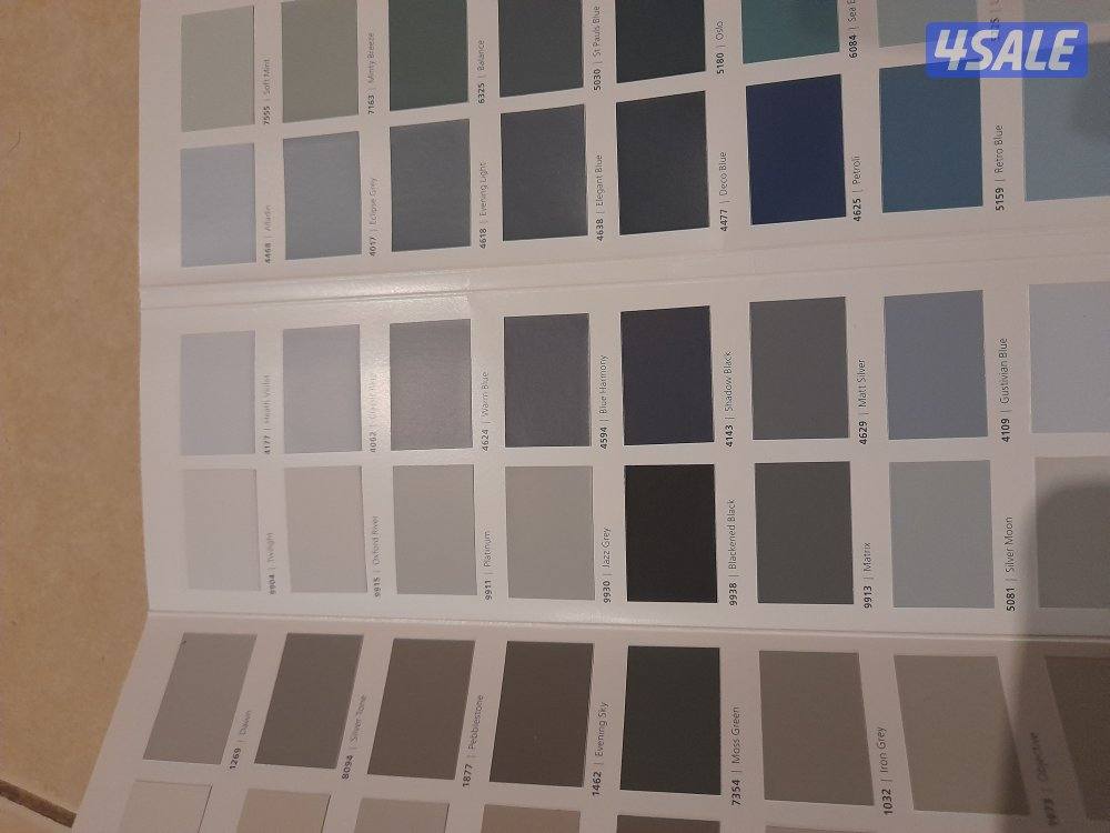 Wall painter and wood painter1