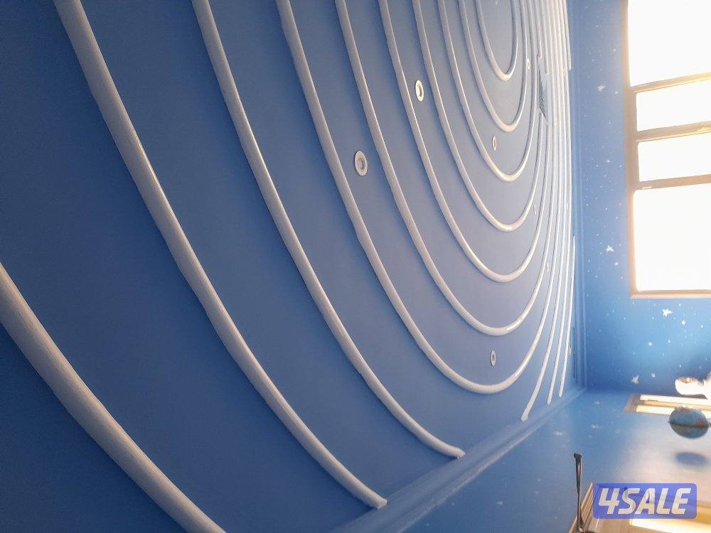 Wall painter and wood painter5