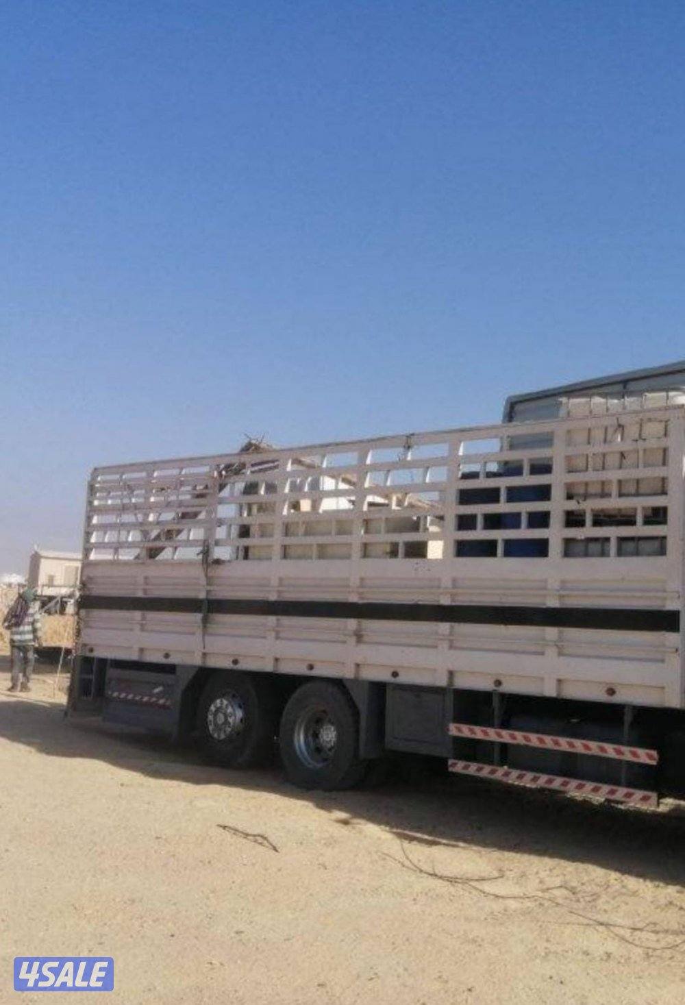 قلص شاليهات ____نقل مخيمات ____نقل عزبه__نقل غنم_(((خدمه ٢٤ساعه)))4