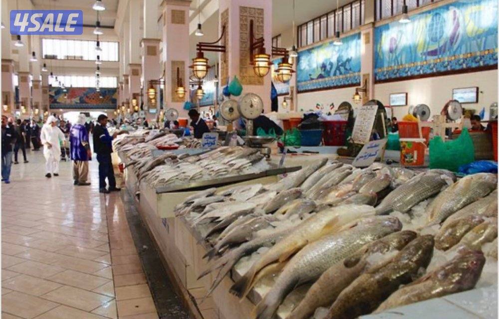 للضمان محل بيع اسماك في سوق السالميه 150 دك0