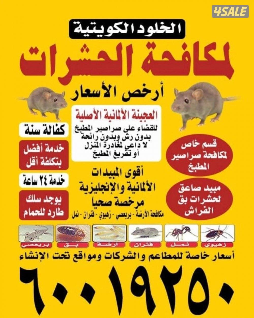 مكافحة الحشرات والقوارض جميع مناطق0