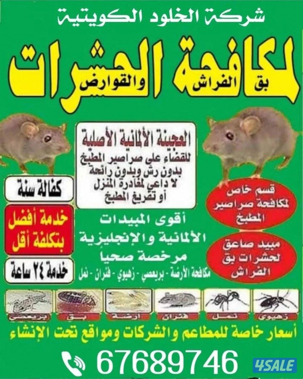 مكافحة الحشرات والقوارض جميع مناطق3