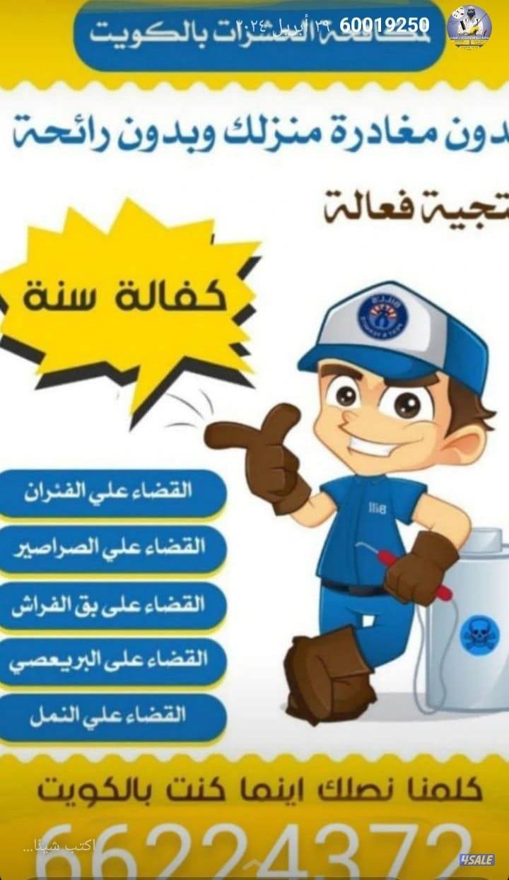 مكافحة الحشرات والقوارض جميع مناطق الكويت0