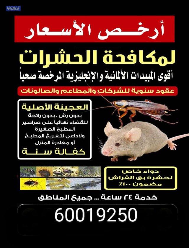 مكافحة الحشرات والقوارض جميع مناطق الكويت3
