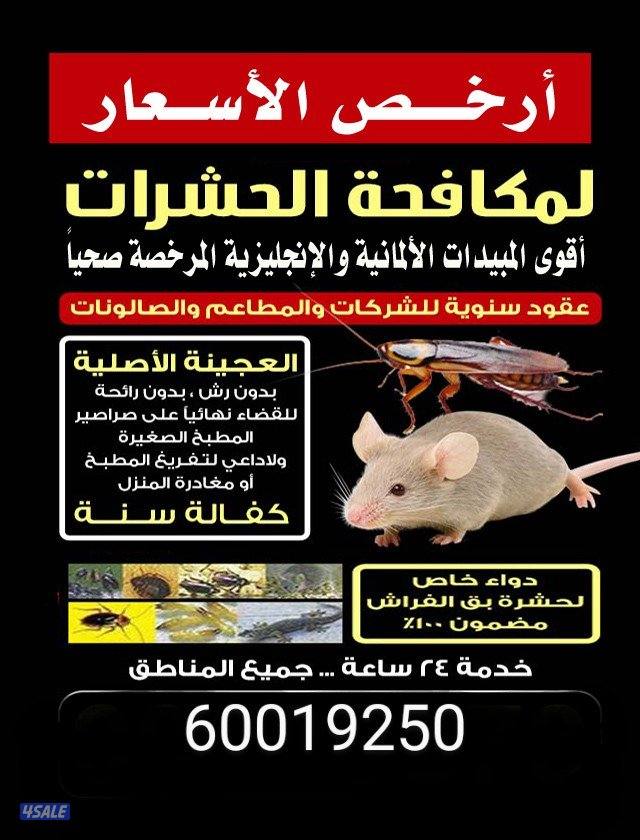 مكافحة الحشرات والقوارض جميع مناطق الكويت0