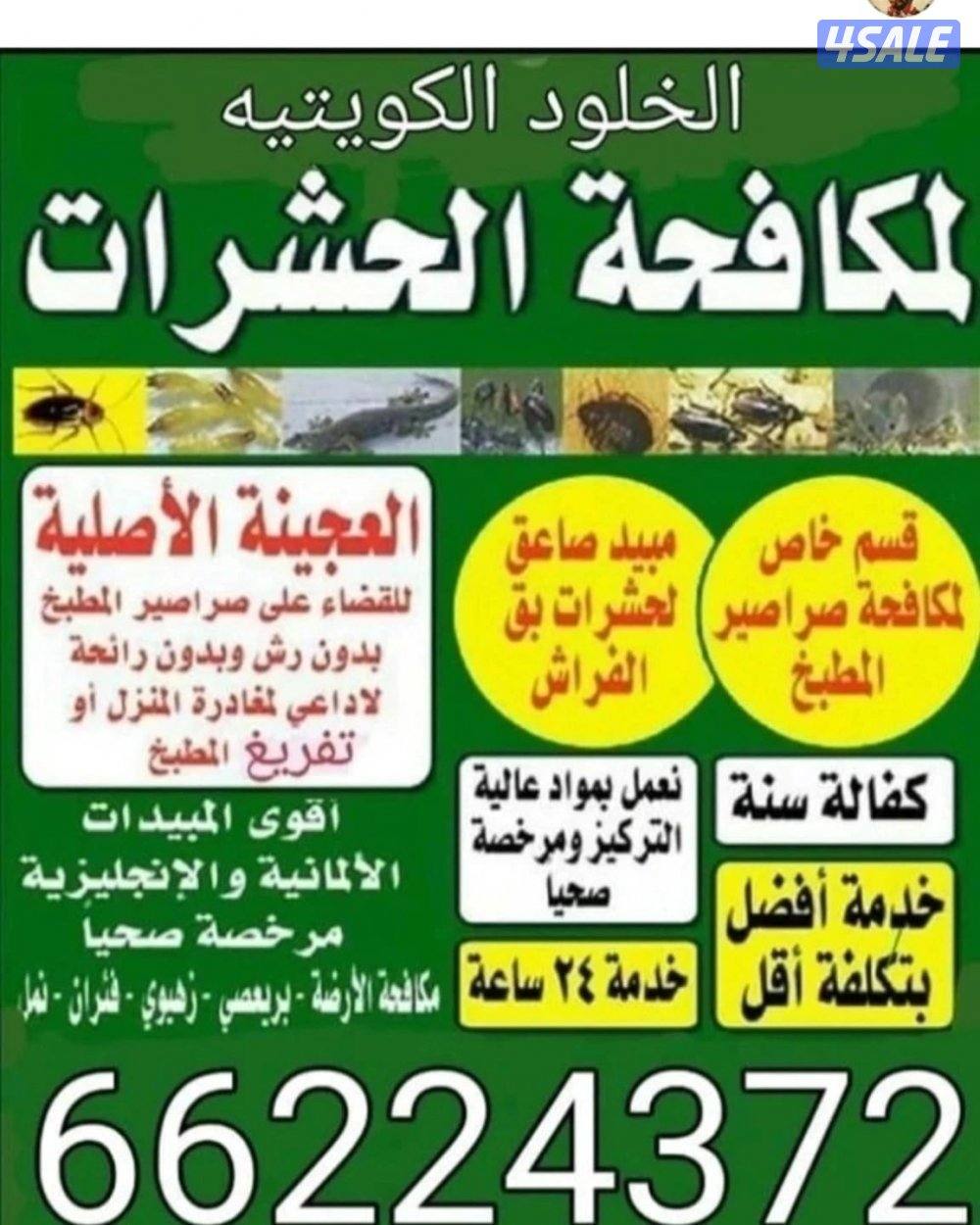 مكافحة الحشرات والقوارض جميع مناطق الكويت3