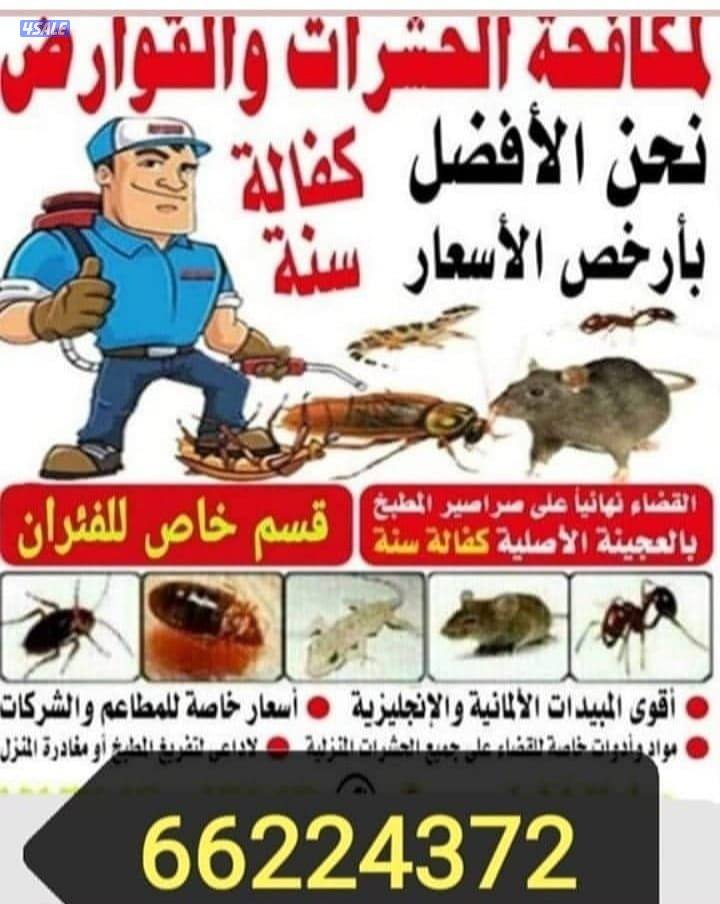 مكافحة الحشرات والقوارض جميع مناطق الكويت8