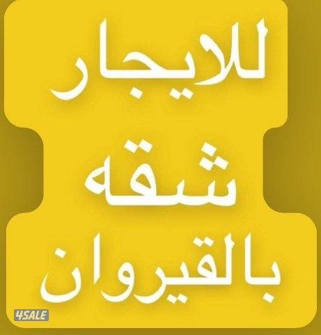 للايجار شقه بالقيروان0