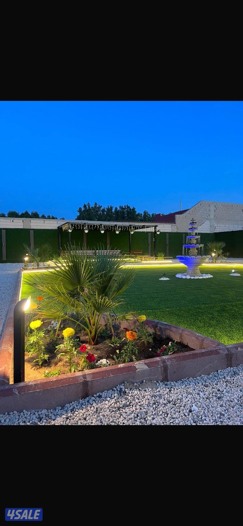 ايجار دوانيه كبد شارع رئيسي مقابل خدمات2