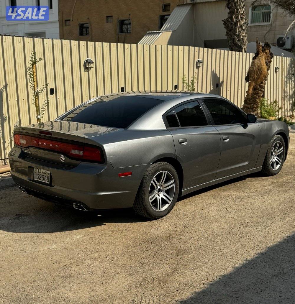 دوج صبغ الوكاله0