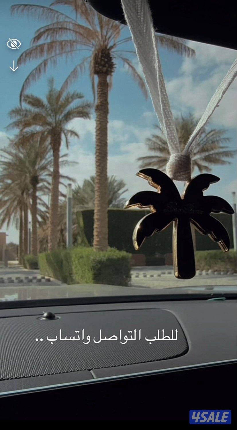 ميداليه لوروبيانا7