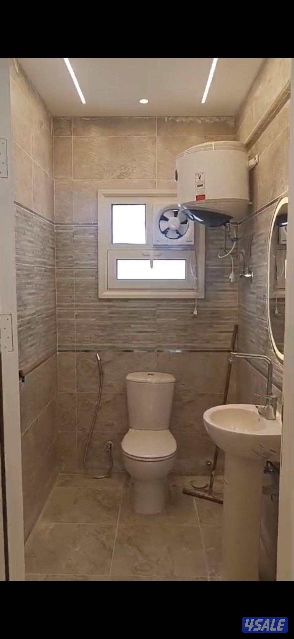مصر الشيخ زايد2