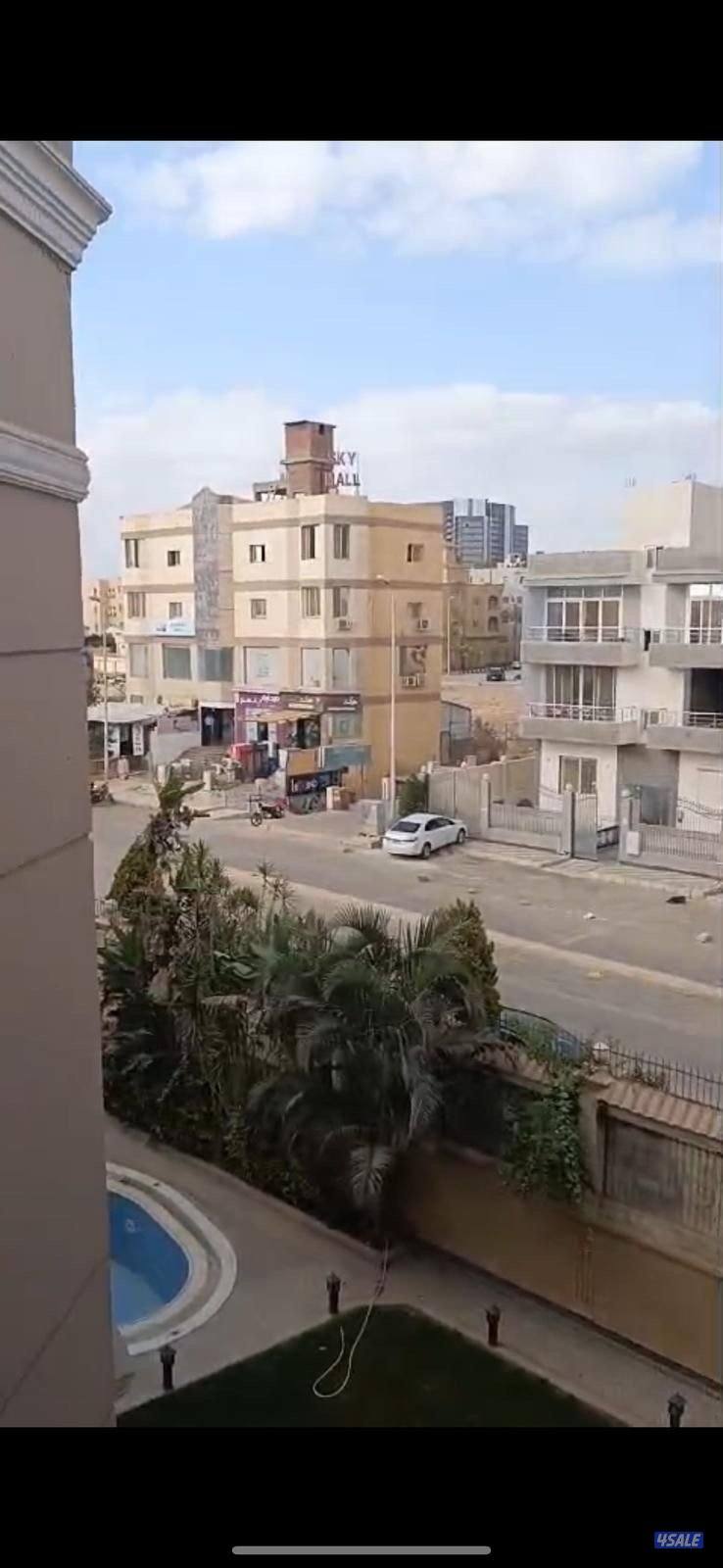 مصر الشيخ زايد4