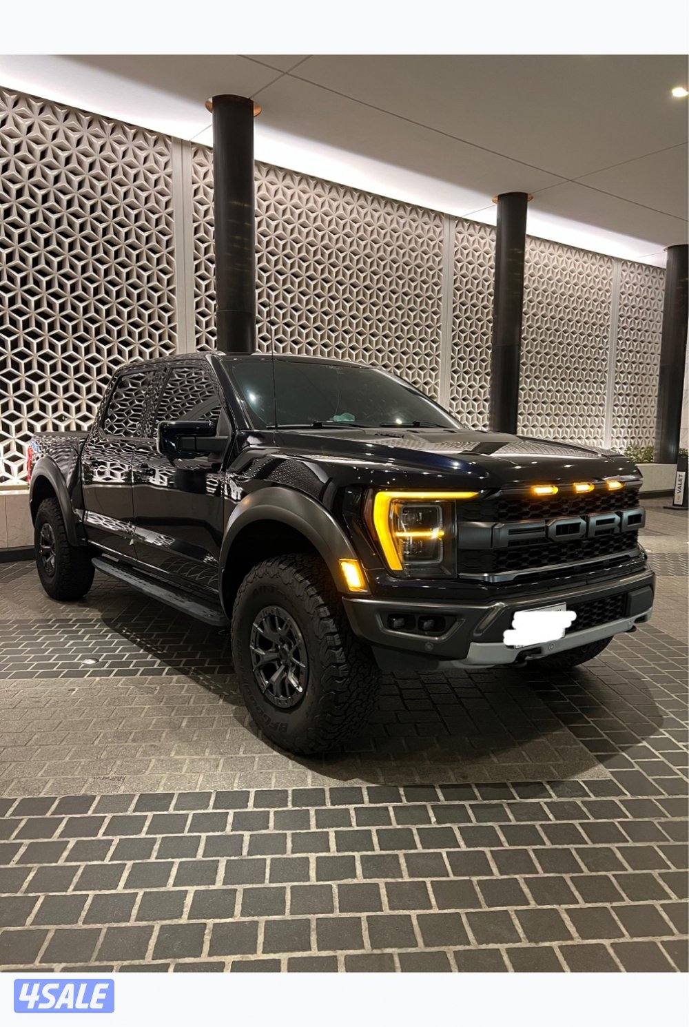 Raptor 371