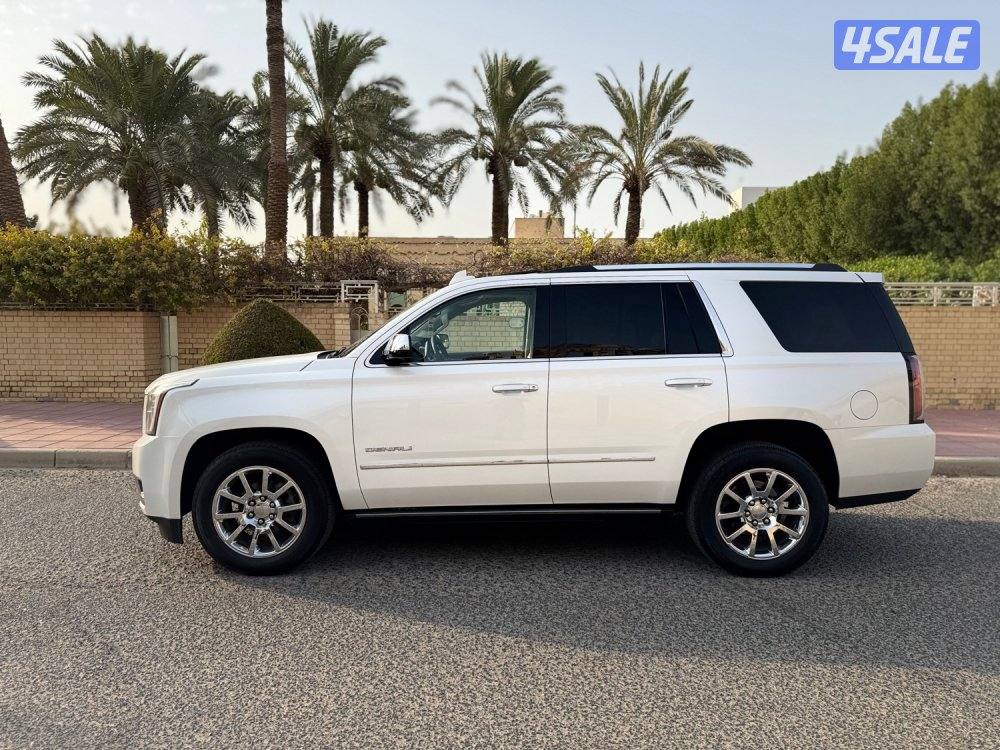 دينالي اعلى درجه ٢٠١٧ كشن خلفي كامل5