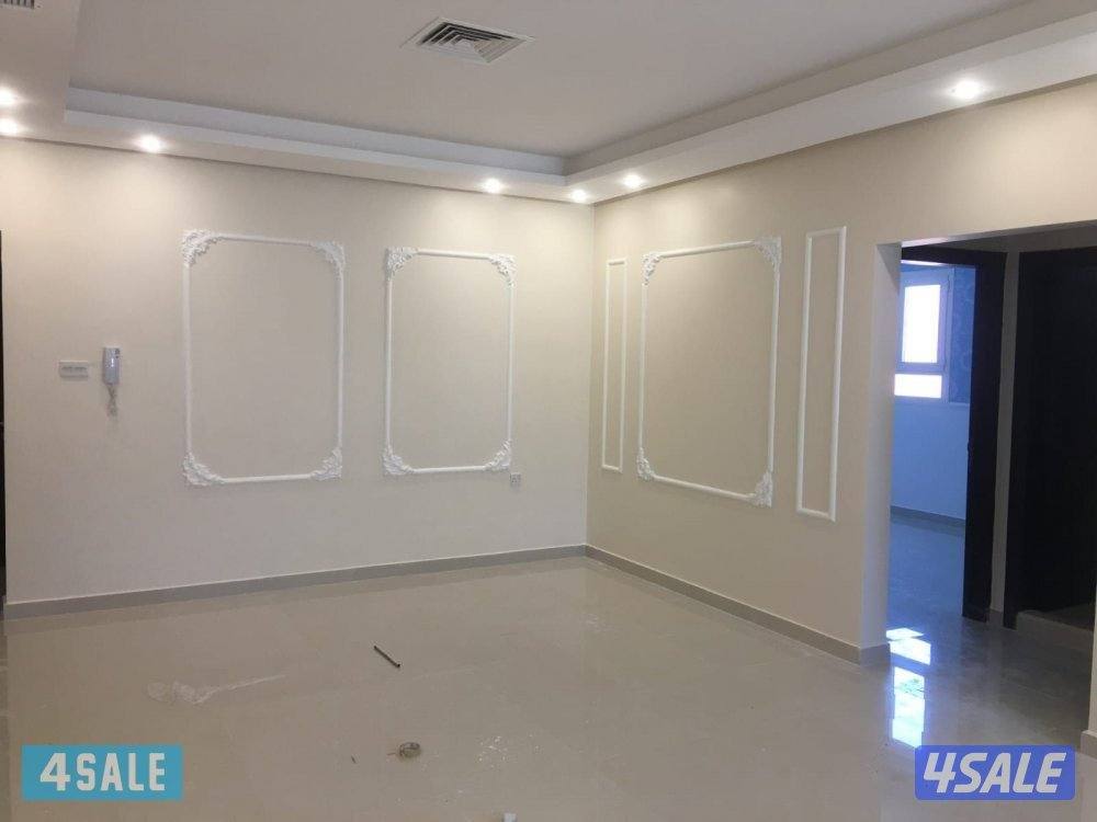 عبدالعليم هندي صباغ5