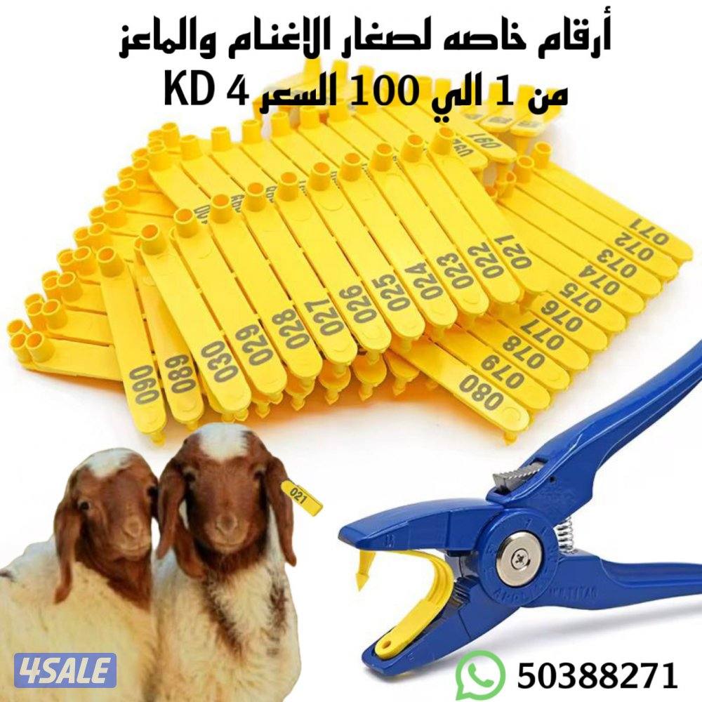 مستلزمات المربين0