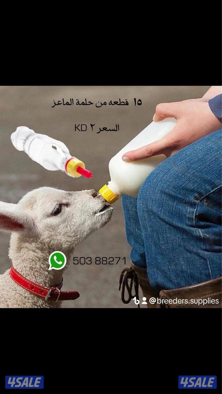 مستلزمات المربين1