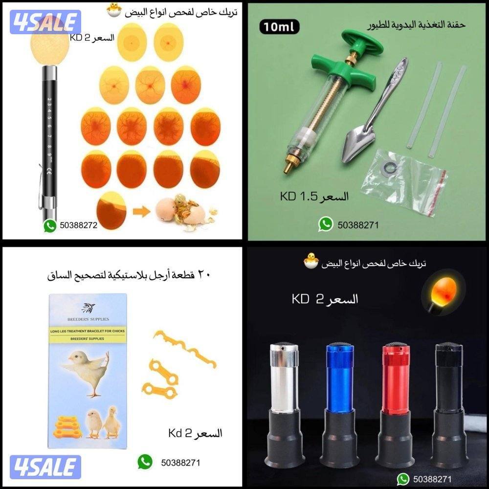 مستلزمات المربين5