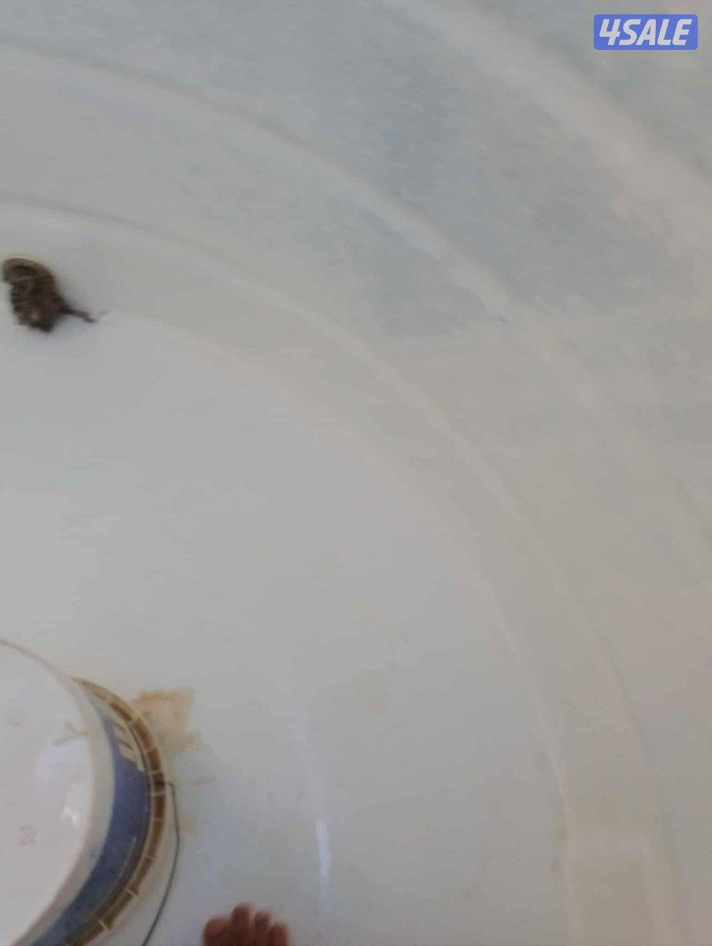 غسيل وتصليح جميع انواع التوانكي باقل الاسعار خدمه 24ساعه6