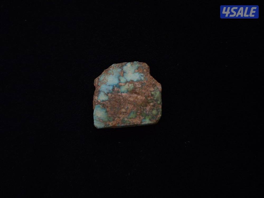 فيروز نيشابوري2