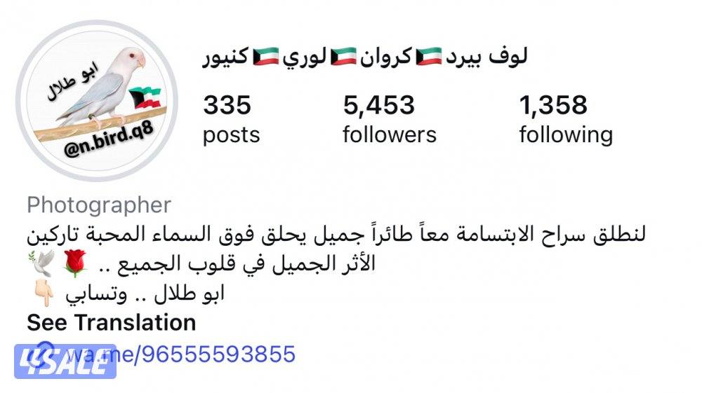 فروخ كروان متعلمين على العس وبصحة ممتازه3