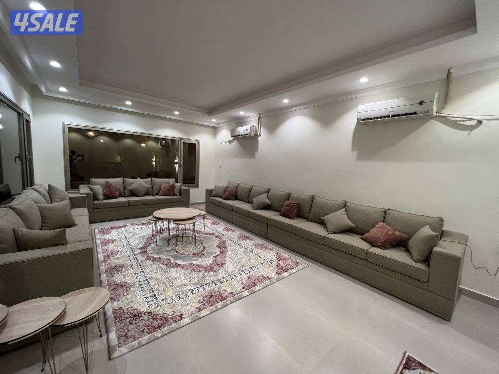 كبد قطعة 1310