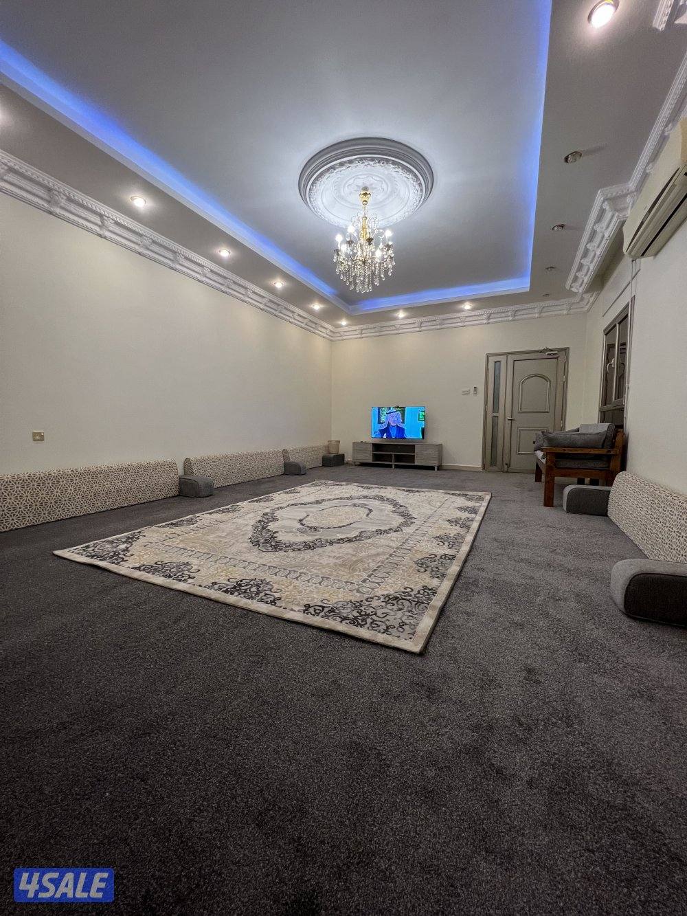 كبد قطعة 1311