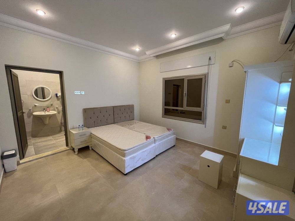 كبد قطعة 1313