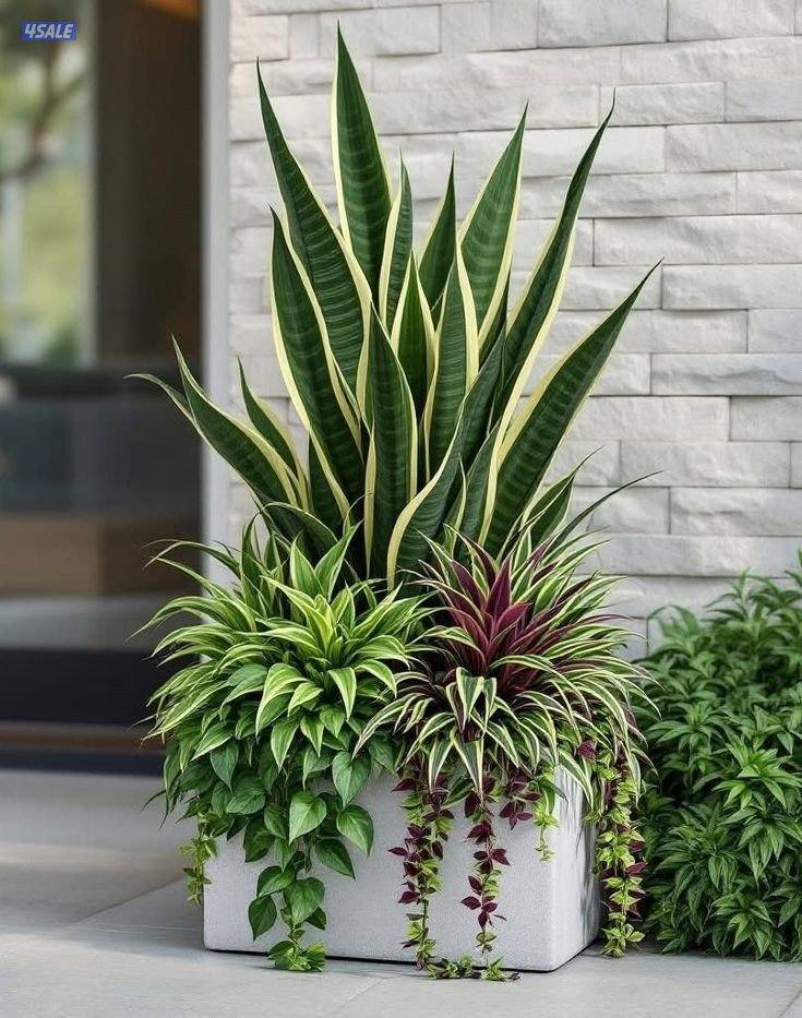 تنسيق وصيانه الحدائق وتركيب شبكات الري5