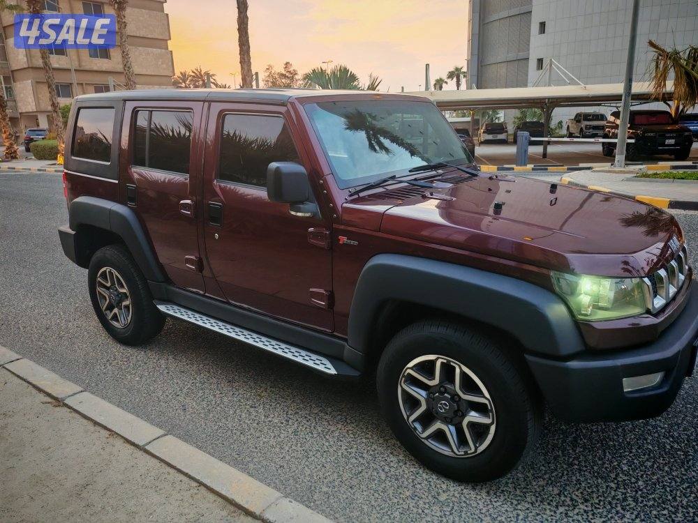 جيب بايك 20173