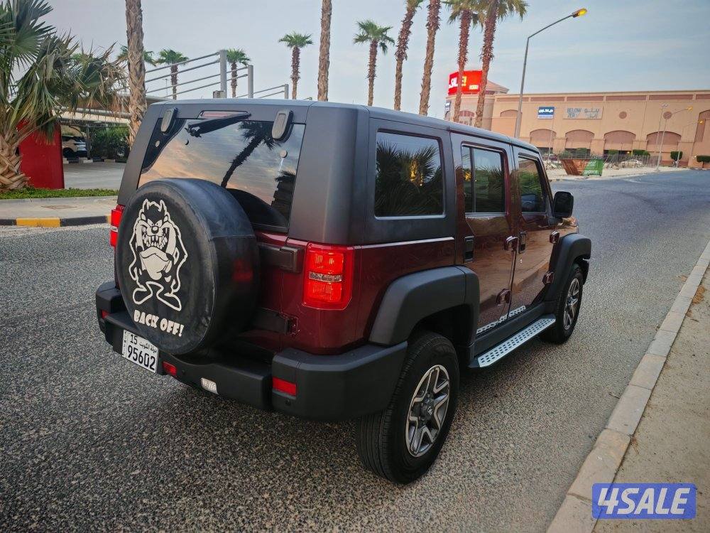 جيب بايك 20174