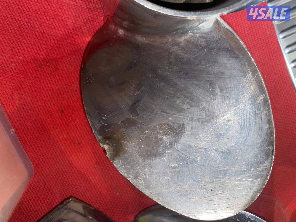 للبيع بروانتين ورمانه6