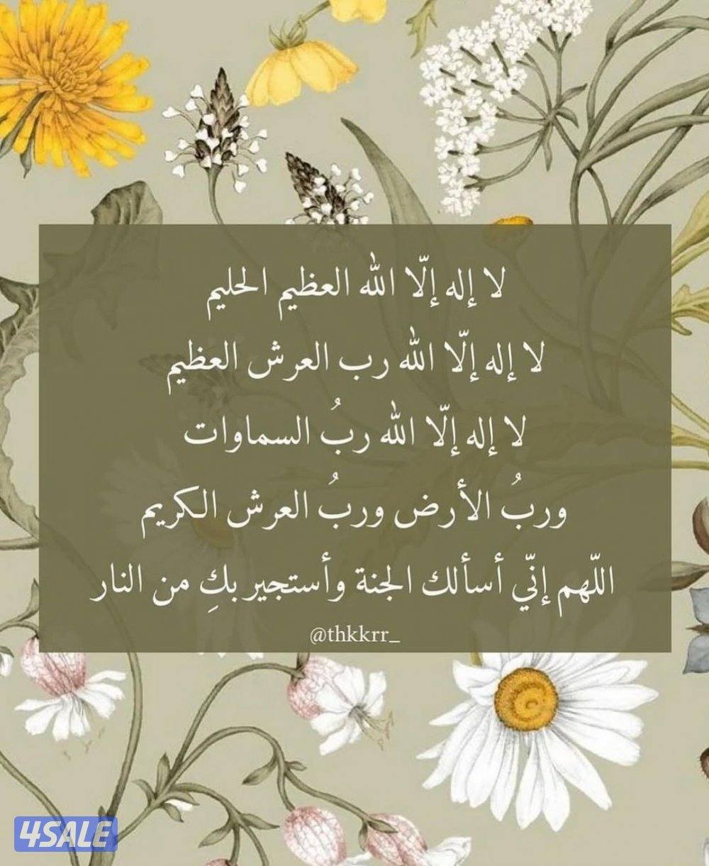 معلمة لغة انجليزية0